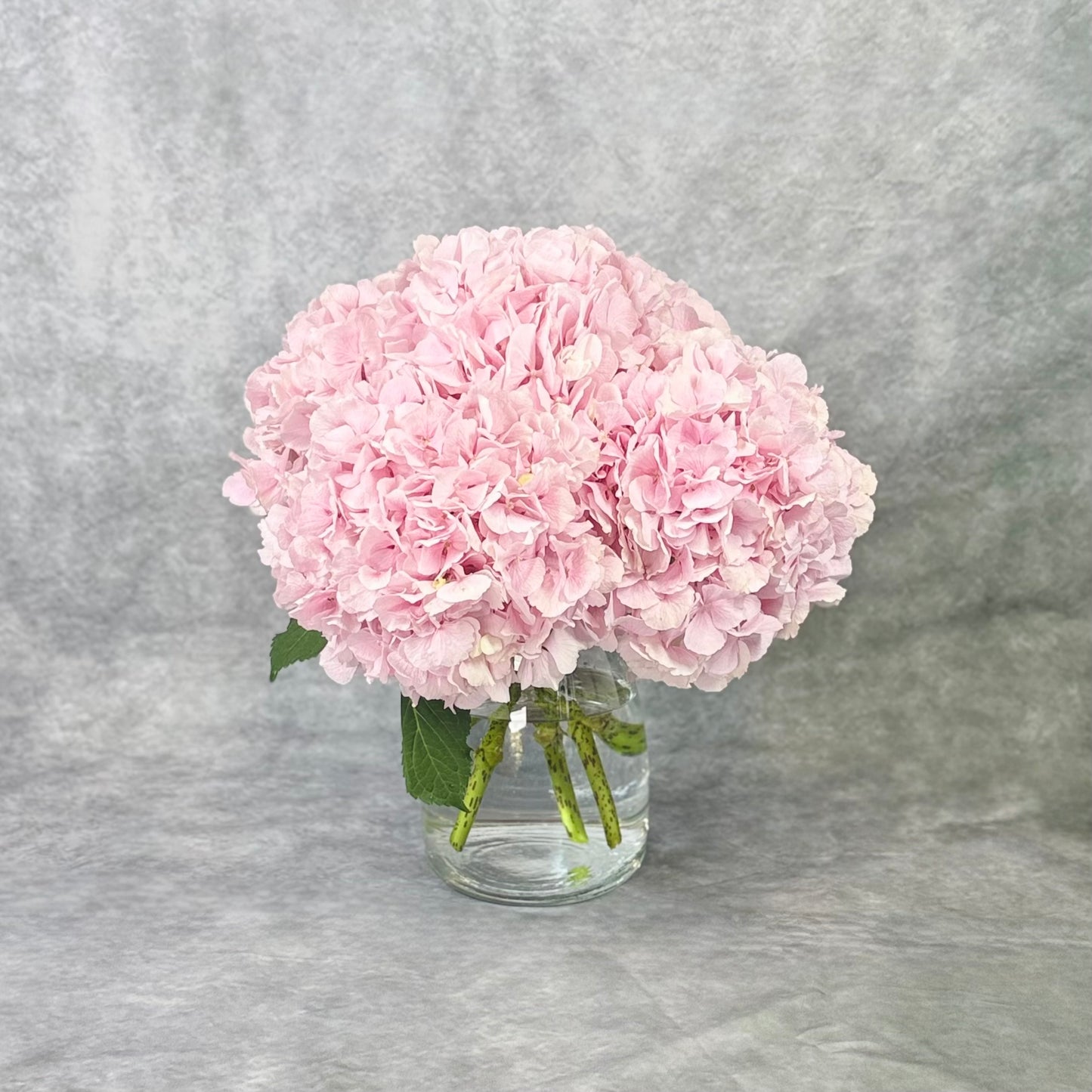Five Hydrangea Bouquet