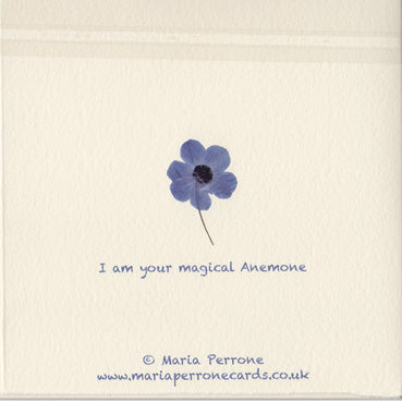 Magical Anemone