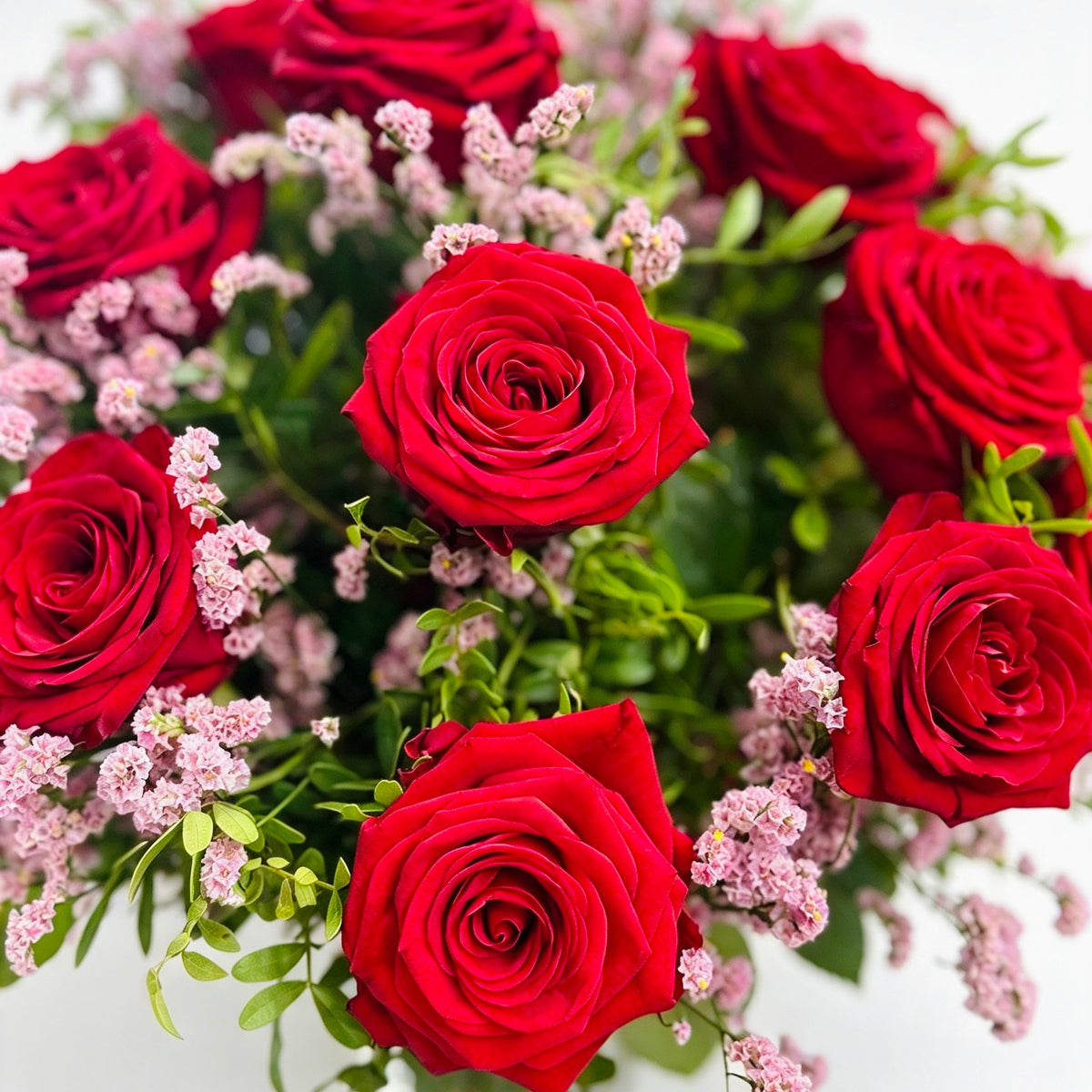 24 Red Naomi Roses