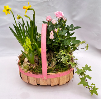 Basket planter