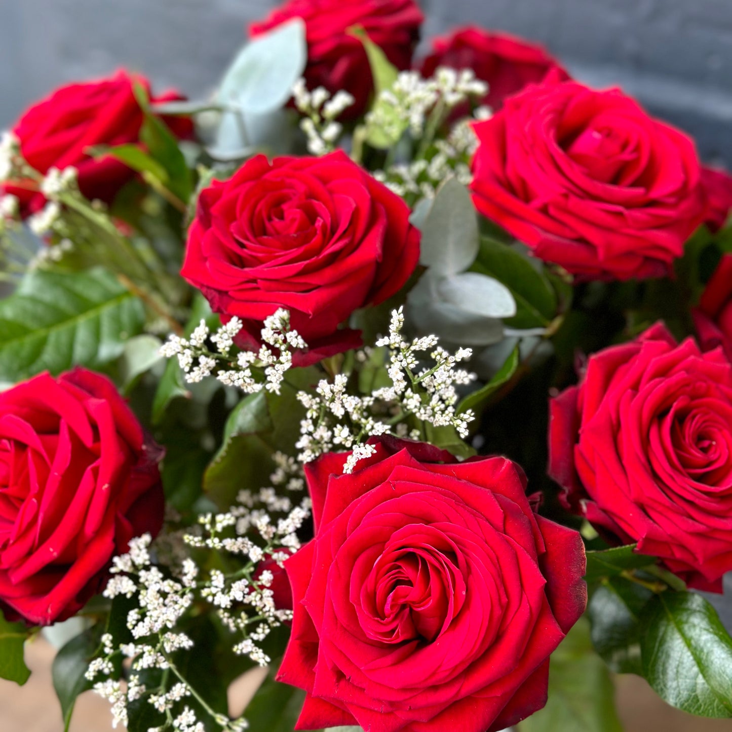 Dozen  Red Naomi Roses