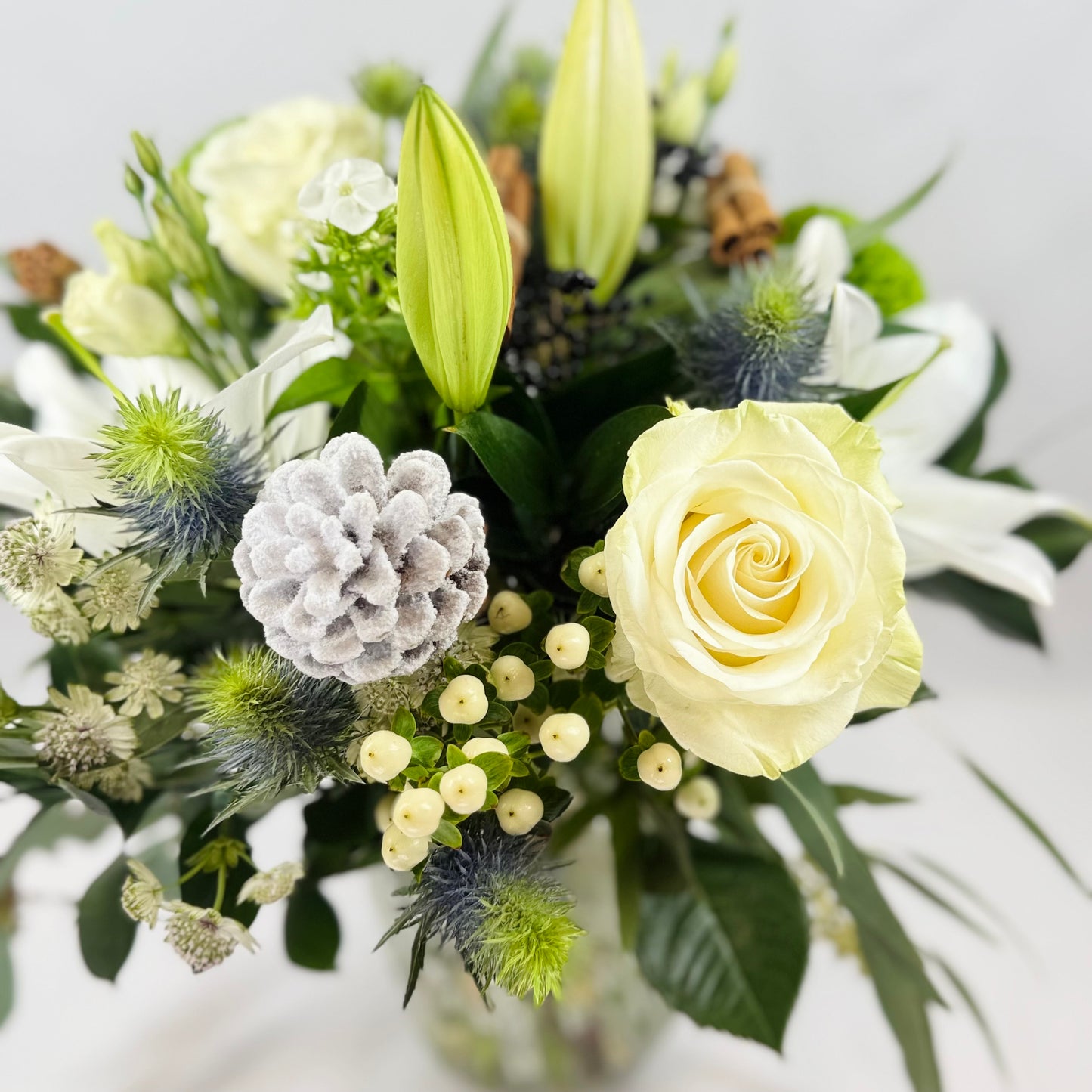 Christam Nordic Sansation