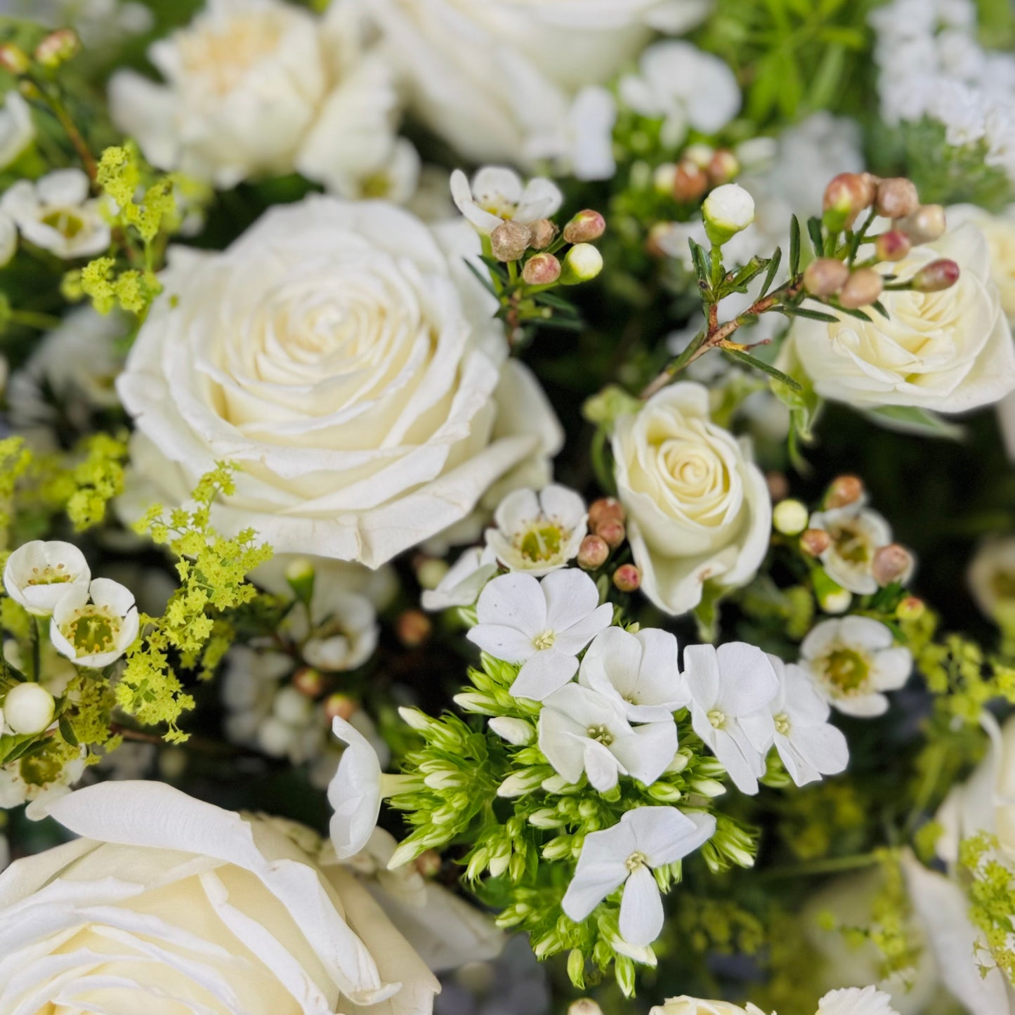 Mountain Mist – Hand-Tied White Bouquet | Putney Florist