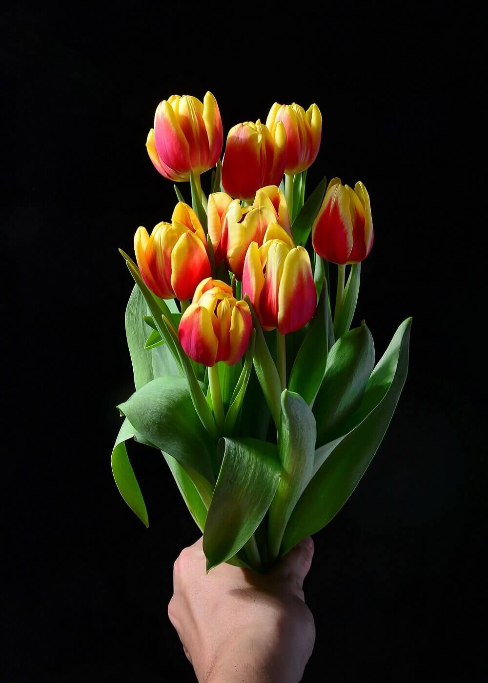 Putney Florist Flower Delivery