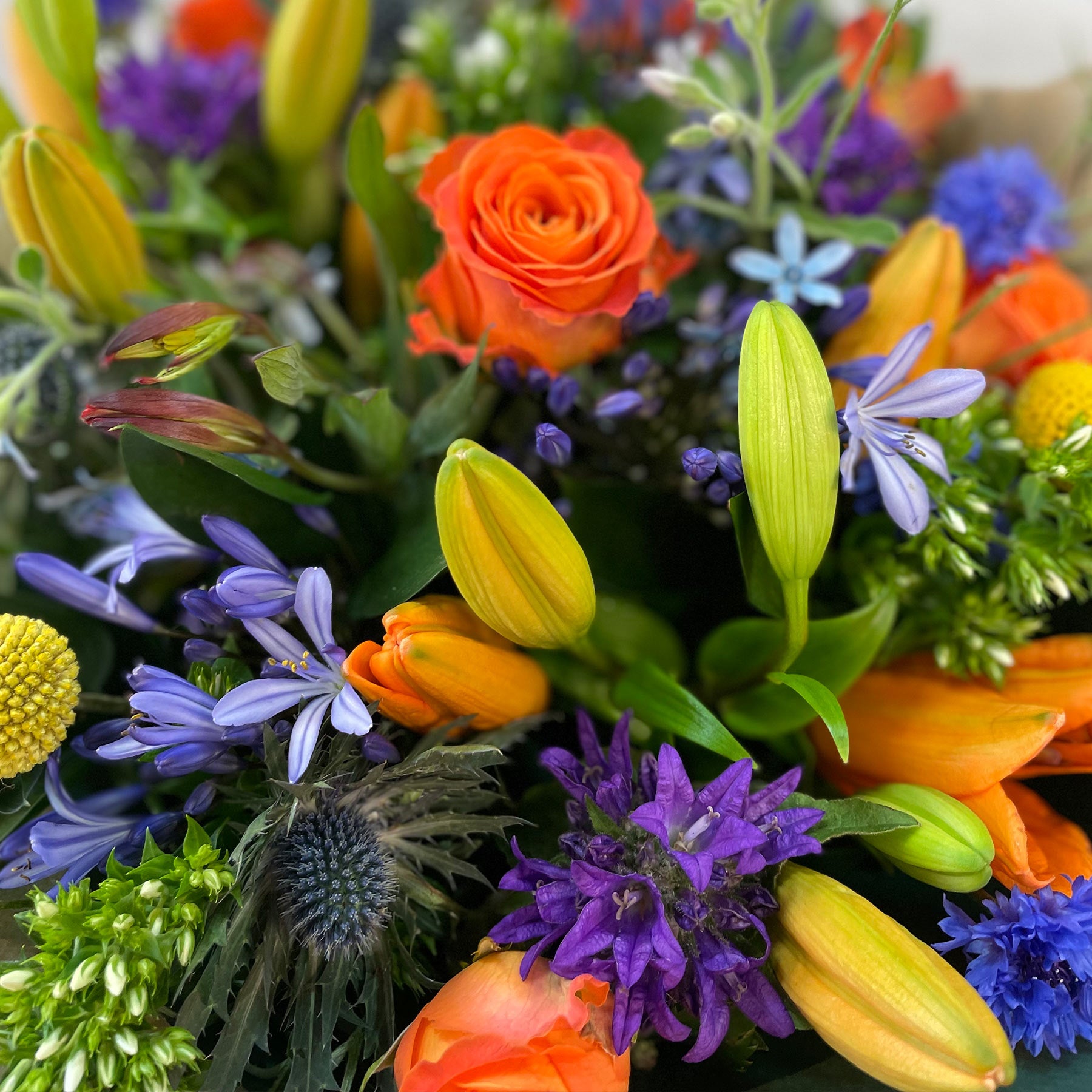 Putney Florist Flower Delivery Putney Florist ltd